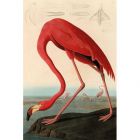 Mondiart American Red Flamingo
